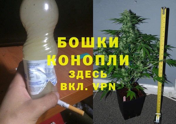 гидропоника Алзамай