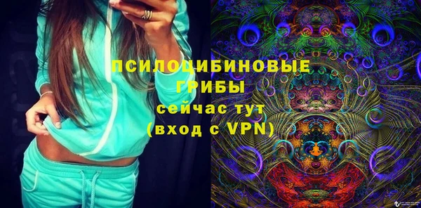 гидропоника Алзамай