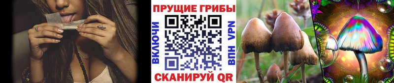 Галлюциногенные грибы Magic Shrooms mega сайт Апшеронск