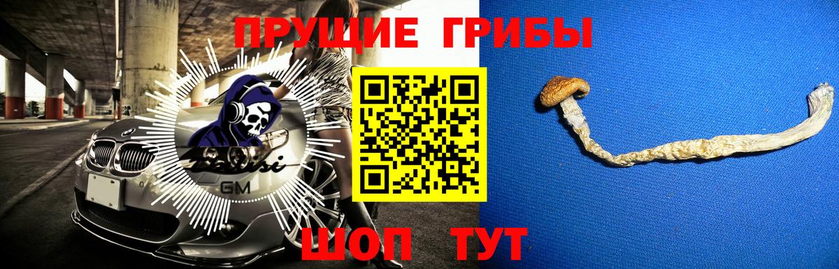 Псилоцибиновые грибы прущие грибы  Псилоцибиновые грибы прущие грибы  Апшеронск 